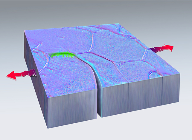 Metal diagram