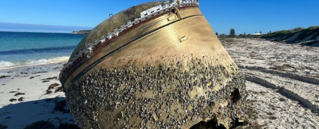 Mysterious Giant Object Washes Up on Remote Australian Beach