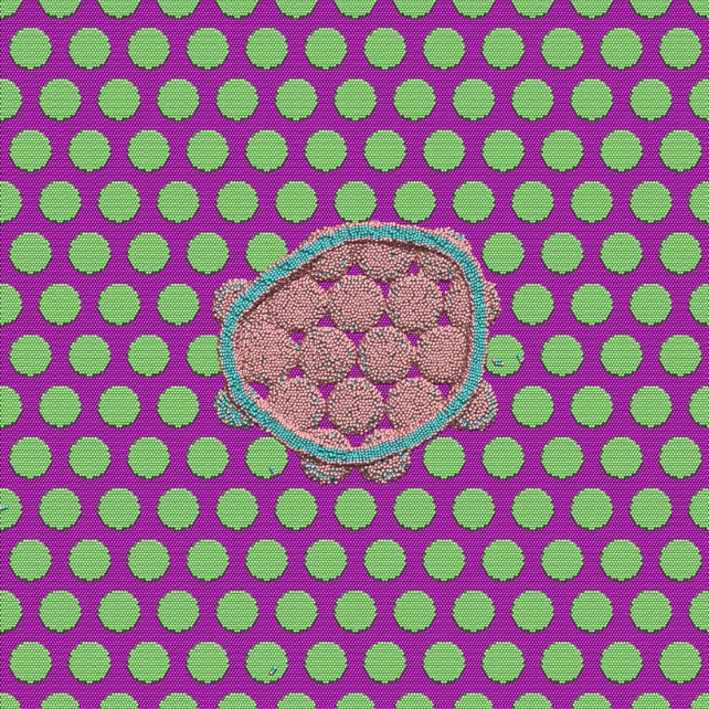 Nanopillar And Bacteria Simulation Top View