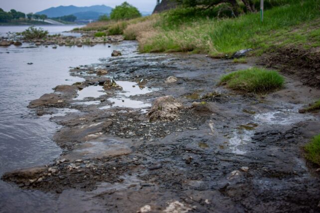 Exposed riverbed