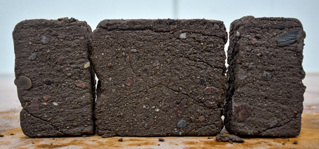 Soil samples from a ice core.