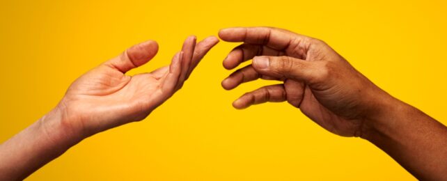 Your Hands Probably Weigh Twice as Much as You Think They Do