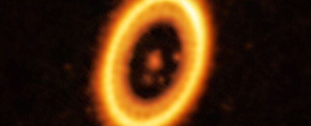We Just Got The First Evidence of Two Planets Sharing The Same Orbit
