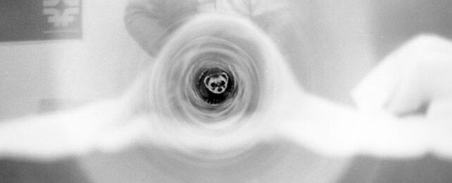 Bizarre True Story: Physicists Once Put a Ferret in a Particle Accelerator