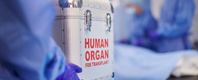 organ transplant container
