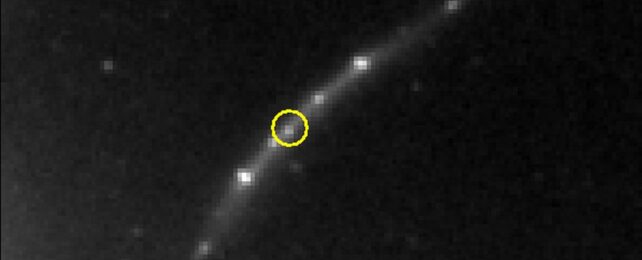 Meet Giant Mothra: Extremely Rare 'Kaiju' Monster Star Discovered