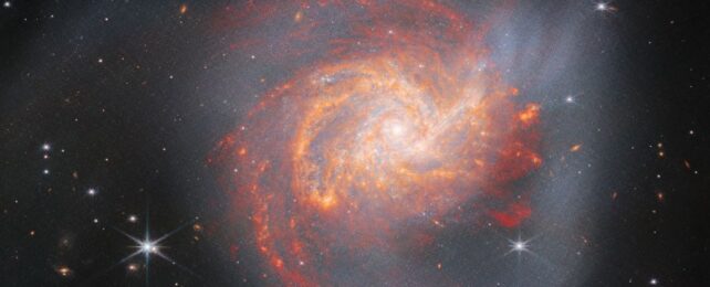 JWST Photographs a Fiery Spiral Galaxy With an Unexpectedly Violent Past