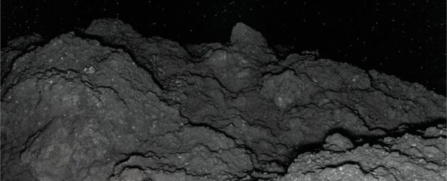 Asteroid Ryugu Was Once a Planet Forming in The Outer Reaches of Our Solar System