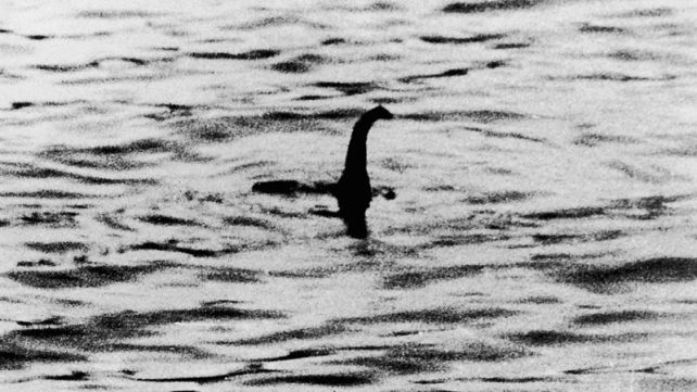 Ya Loch Ness Canavarı Aslında Dev Bir Yılan Balığıysa? : BilimAlert