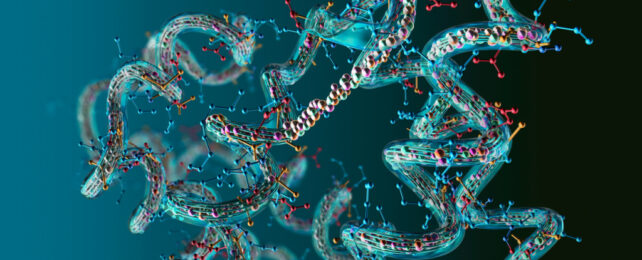 Illustration of a chain of amino acids being folded into a 3D protein.