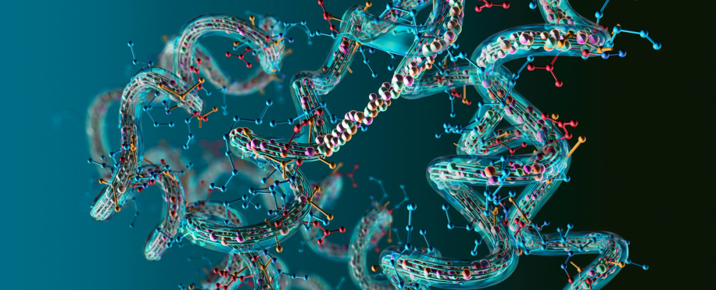 Des scientifiques ont découvert que les « mathématiques pures » sont écrites dans Evolutionary Genetics : ScienceAlert