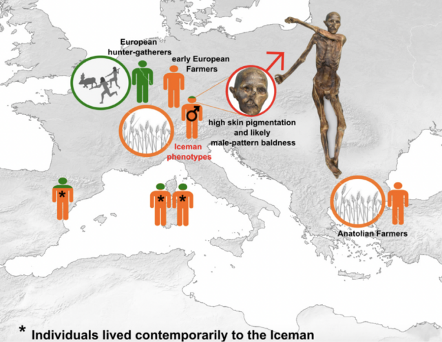 Iceman Ancestry