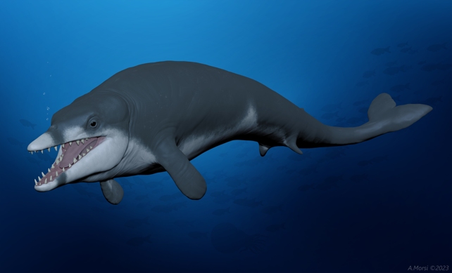 Ancient Whale Illustration