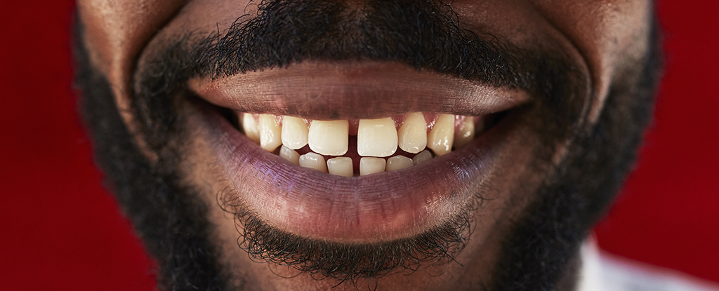 A Drug For Regrowing Teeth Could Be Available Within The Next Decade : ScienceAlert A Drug For Regrowing Teeth Could Be Available Within The Next Decade : ScienceAlert