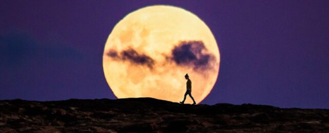 A huge bright moon with a person walking in front of it