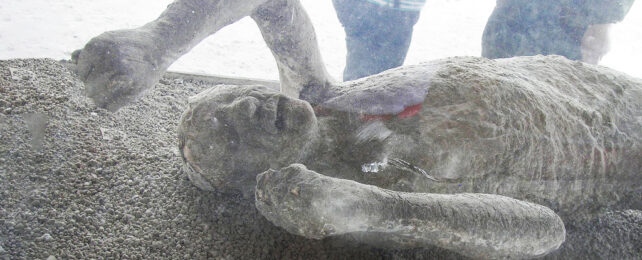 Cast of a deceased person from the destruction of Pompeii that's captured horrific details of their agonized expression.