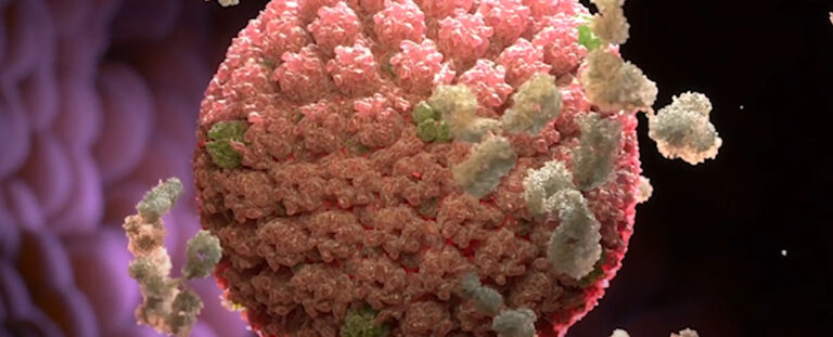 First-Ever Vaccine Candidate Against Epstein-Barr Delivers Promising ... - Leukemia Vaccine Impact Epstein Barr