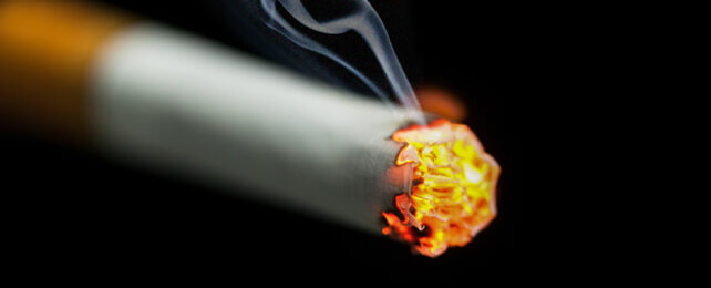 close up of glowing end of lit cigarette
