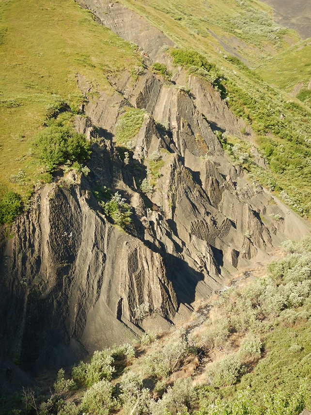 Conjunto gigante de huellas de dinosaurios en Alaska es tan grande que se llama ‘El Coliseo’: ScienceAlert