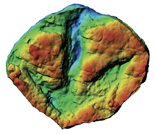 Dinosaur footprint