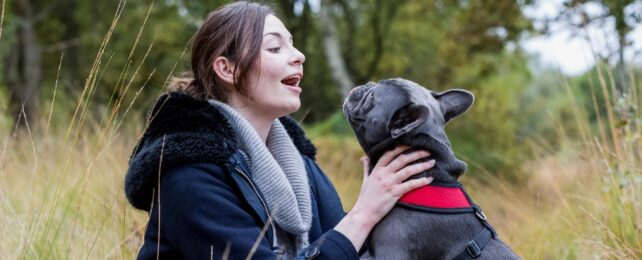 Dog Brains Reveal a Special Affinity With Female Voices