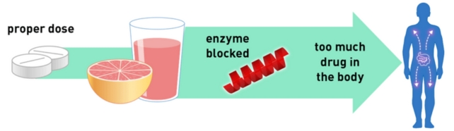 Graphic depicting how grapefruit can block an enzyme's action