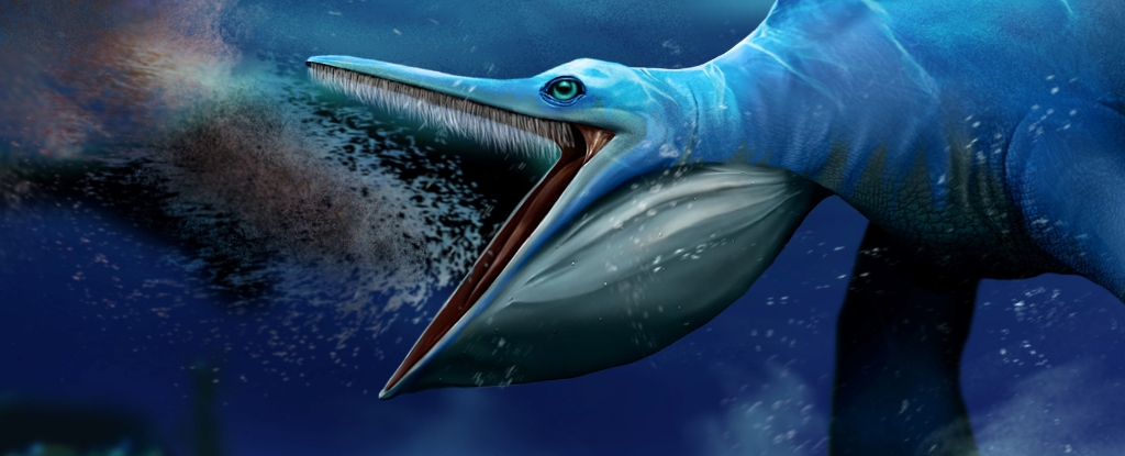 Este antiguo reptil marino comía como las ballenas comedoras de filtros de hoy: ScienceAlert