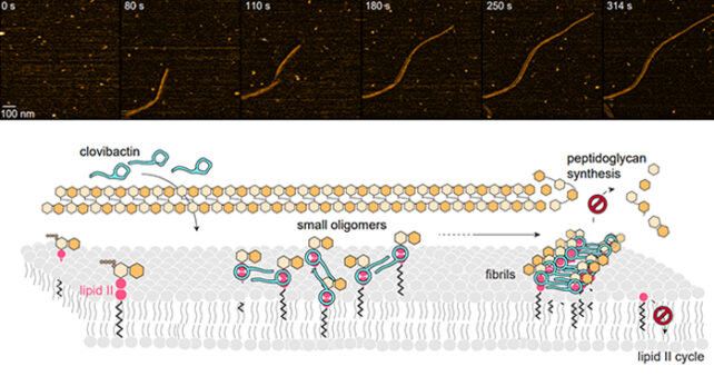 Molecular strings on a dark background with detailed diagram below