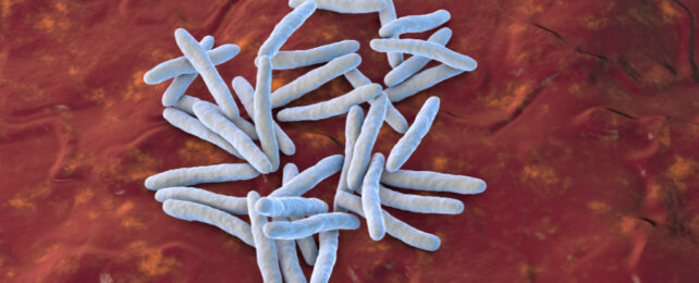Rendered image of bacteria