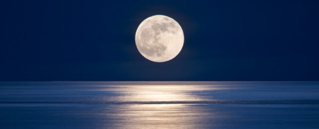 Moon rising over ocean casts silver beam of light along ocean surface.