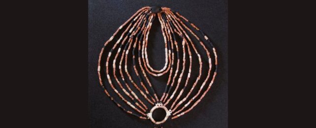 Spectacular 9,000 Year Old Necklace Reconstructed From Ancient Child's Grave