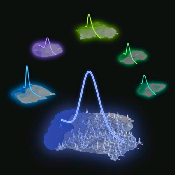 Neurons in The Brain Appear to Follow a Distinct Mathematical Pattern ...