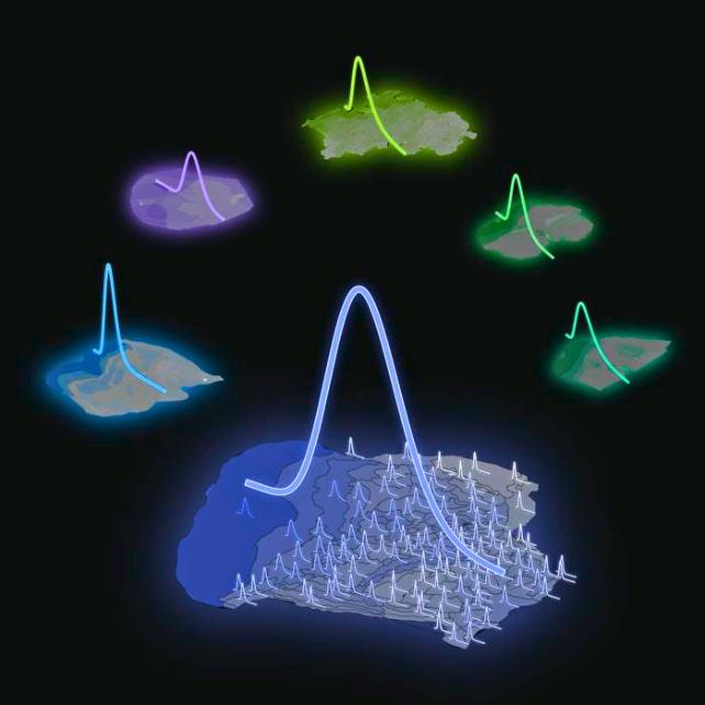 Distribution of neuron densities in cortical areas