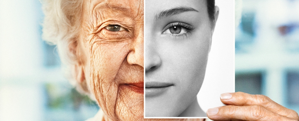 OldWomanHoldsHerYoungPhotoUp