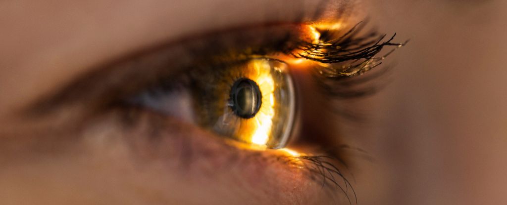 Blinzeln verbessert tatsächlich Ihre Sehkraft, und wir haben es nie bemerkt: ScienceAlert