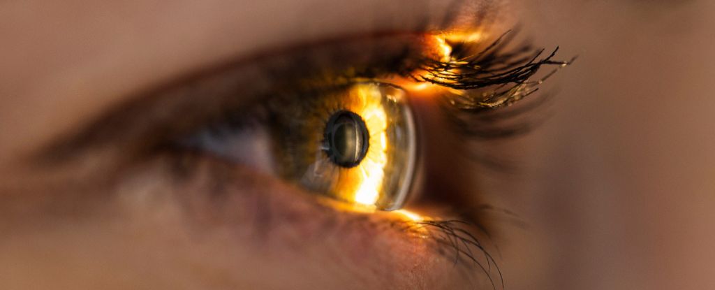 Clignoter améliore réellement votre vision, et nous ne l'avons jamais remarqué : ScienceAlert