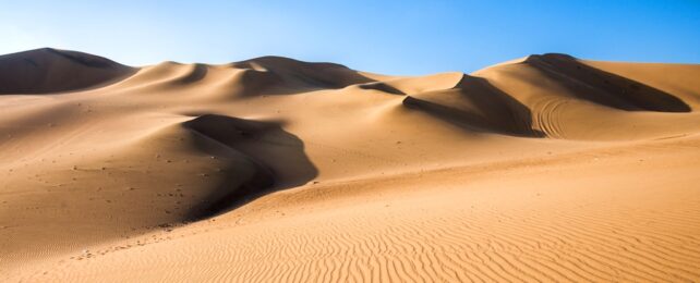 Peruvian Desert Dunes