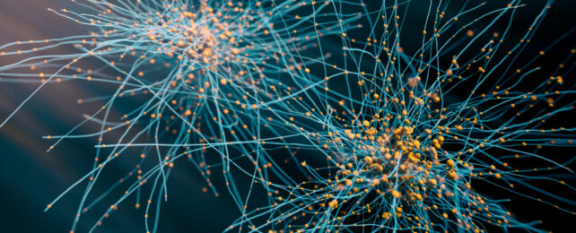 Illustration of orange proteins clumping around blue nerve cells.