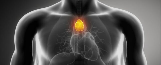 'Useless' Organ That Doctors Often Remove May Actually Fight Cancer