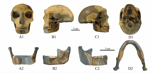 Unknown Hominin Lineage