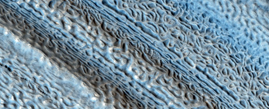 Niesamowity rzut oka na powierzchnię Marsa, która wygląda zupełnie jak Twój pomarszczony mózg: ScienceAlert