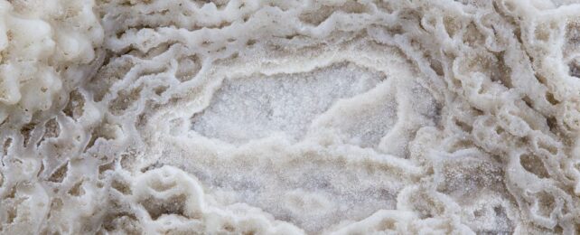 Tiny Drops of Water Trapped in Salt Hold 150 Million Years of Ocean History