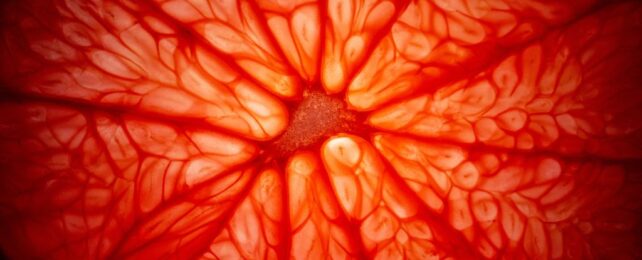 Grapefruit Juice Can Kill You, Evidence Shows