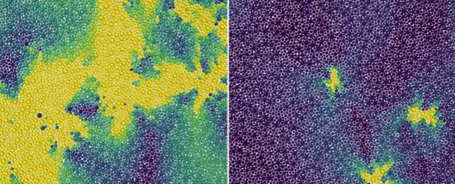 A Hidden State Between Liquid And Solid May Have Been Found