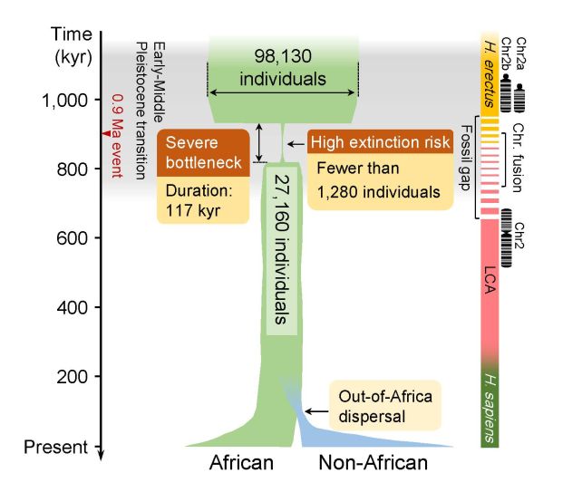 Οι πρόγονοι του ανθρώπου στα πρόθυρα της εξαφάνισης πριν από 900.000 χρόνια: ScienceAlert