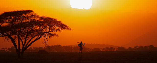 lone figure under a setting sun