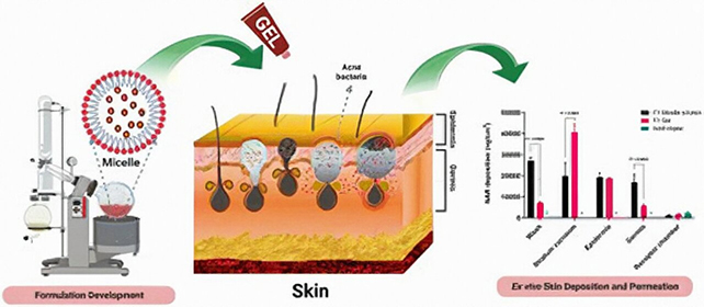 اختبر العلماء فعالية الجسيمات النانوية في التغلغل عبر الجلد