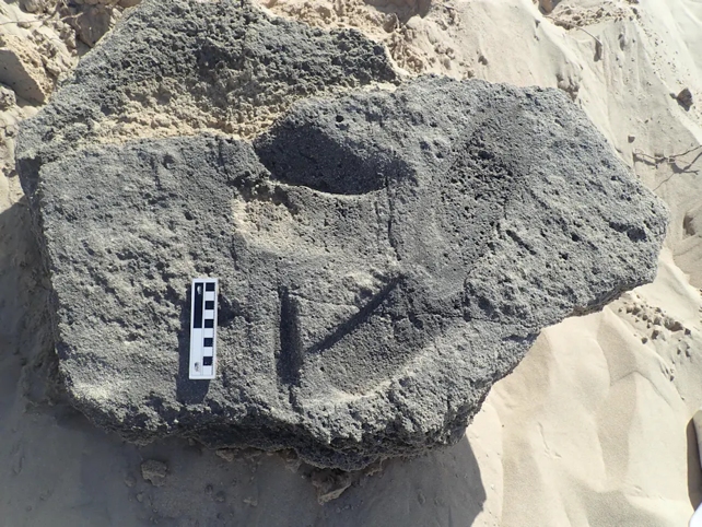 Ancient footprint in rock