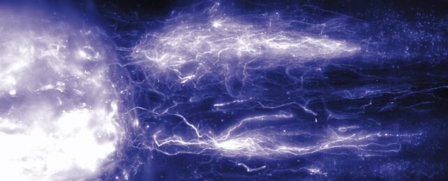 Whole spinal cord visualization of regenerating projections from the lower thoracic spinal cord that project to walking execution centers