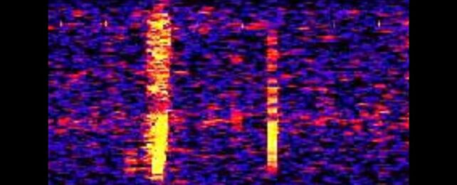 Decades Ago a Huge Noise Roared in The Ocean. For Years It Was a Mystery.